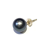 【MARLENA]】Stud Pearl Earrings, Single (one ear), South Sea Black Pearl 11mm UP K18/K14WG (marlena-53-6838)