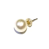 【MARLENA]】Stud Pearl Earrings Single (one ear) Freshwater Pearl 9.0-9.5mm K18/K14WG (marlena-53-6839)